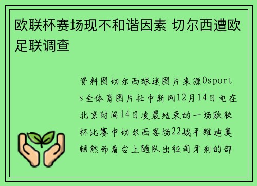 欧联杯赛场现不和谐因素 切尔西遭欧足联调查